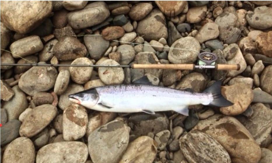 Tomnauld Farm 호텔 피틀로크리 외부 사진